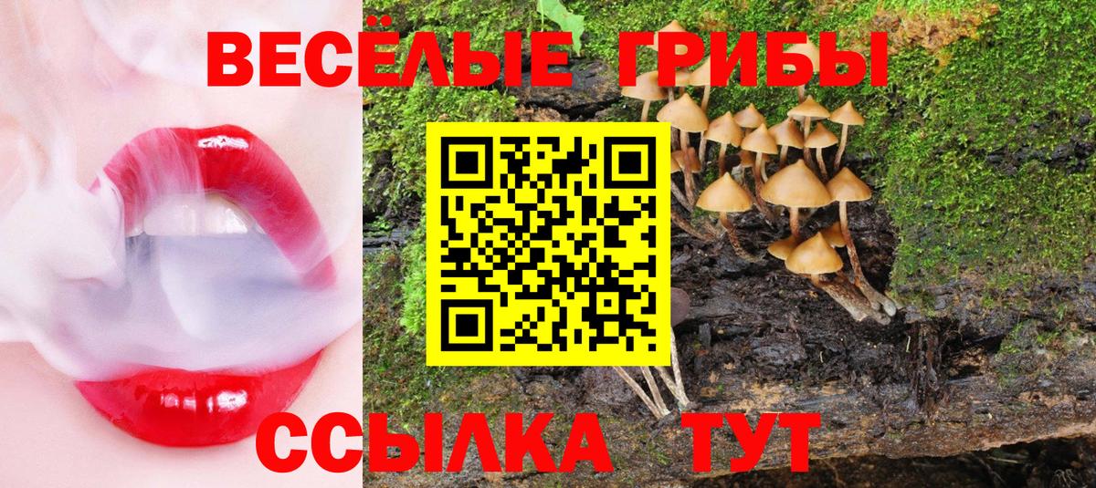 Псилоцибиновые грибы Magic Shrooms Слободской